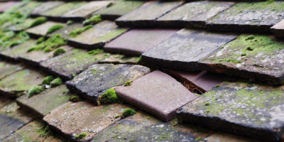 Tencreek roof repair costs